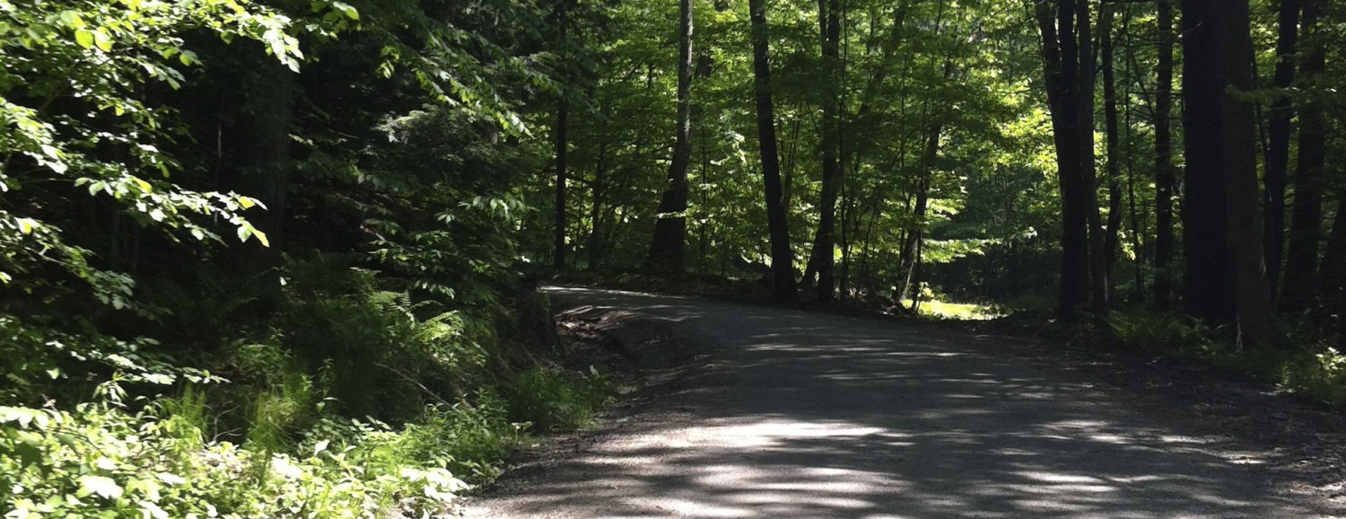 Specht Consulting & Coaching